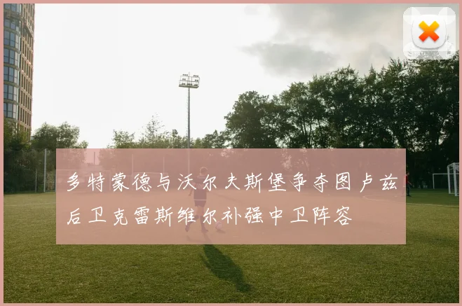 多特蒙德与沃尔夫斯堡争夺图卢兹后卫克雷斯维尔补强中卫阵容