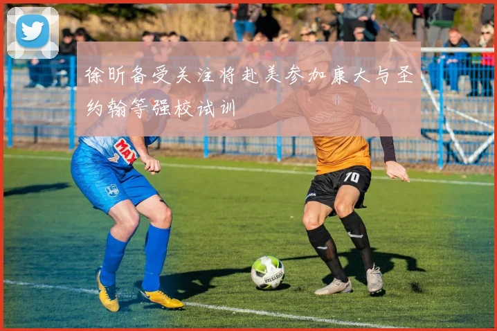 徐昕备受关注将赴美参加康大与圣约翰等强校试训